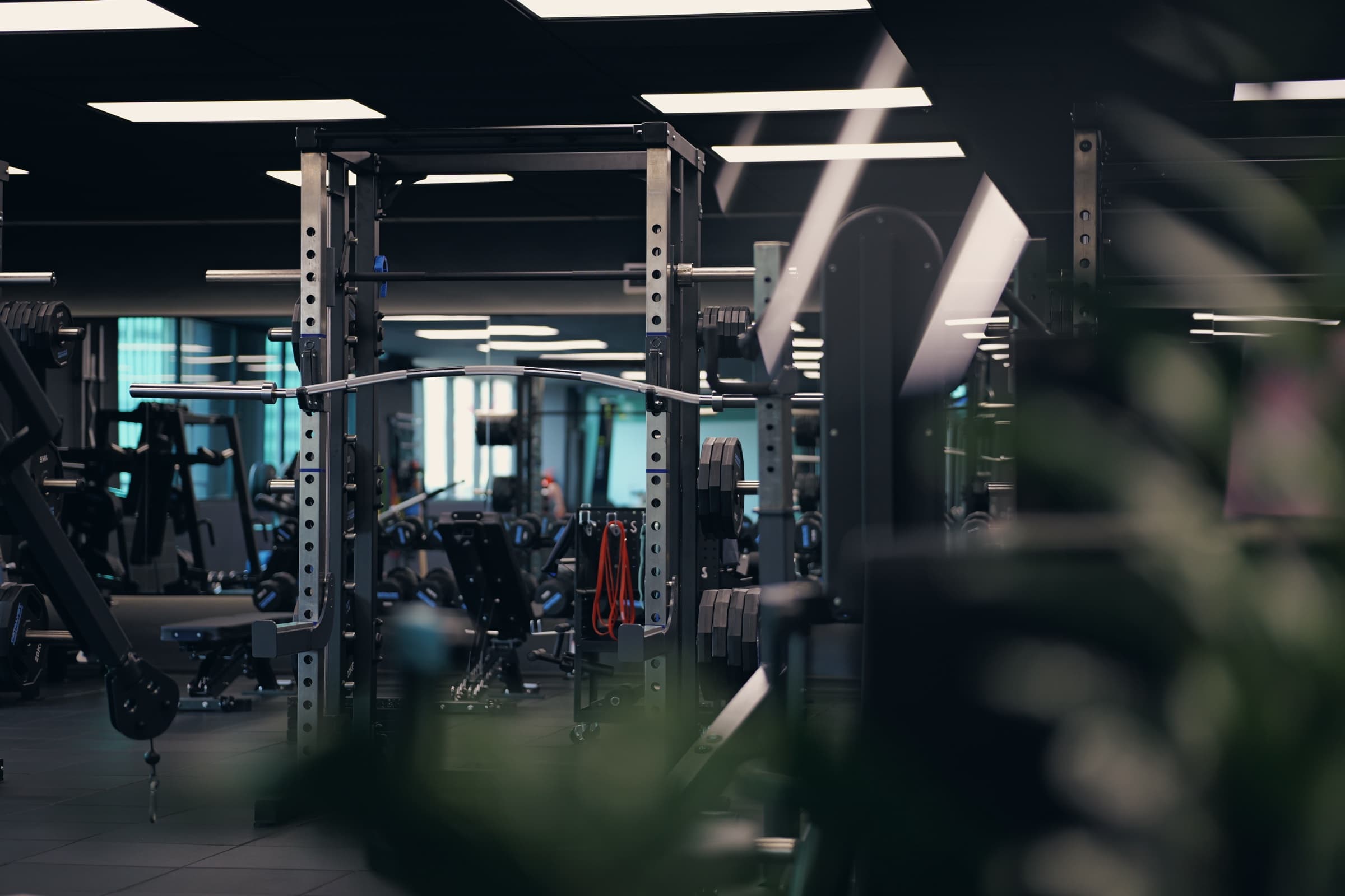 Catalyst Performance training floor, atmospheric shot through plants