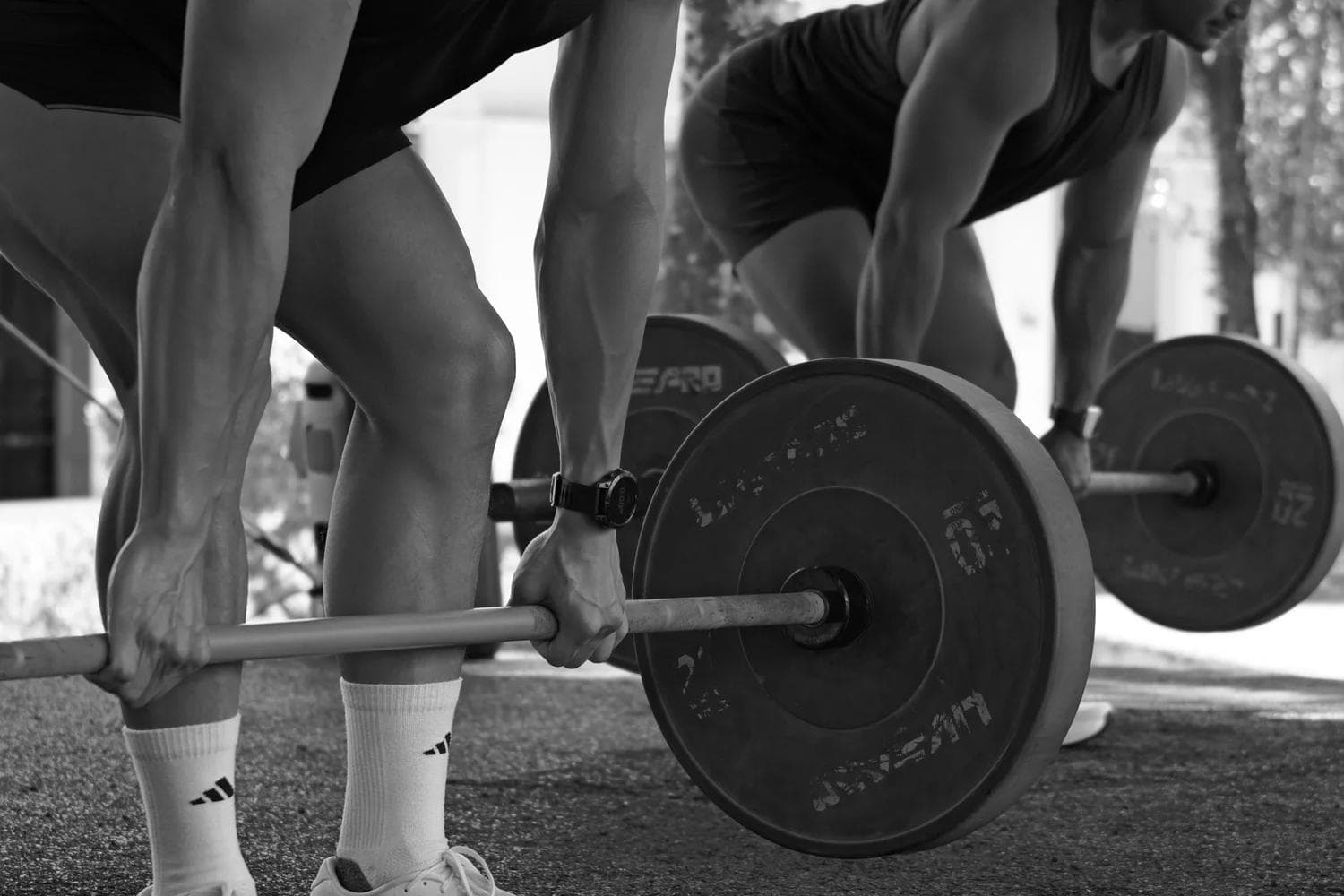 Longevity Personal Training vs Body Transformation Gyms