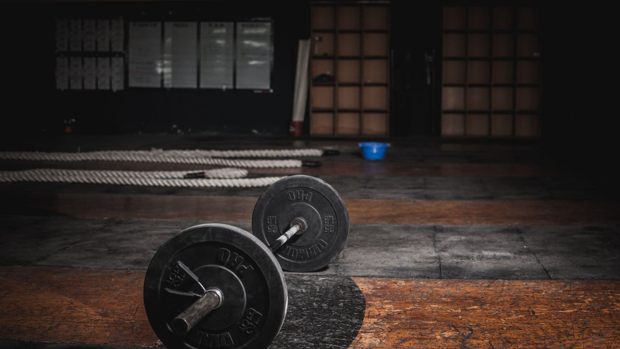 Fitness Tips for Busy Working Adults: Stay Healthy on a Hectic Schedule